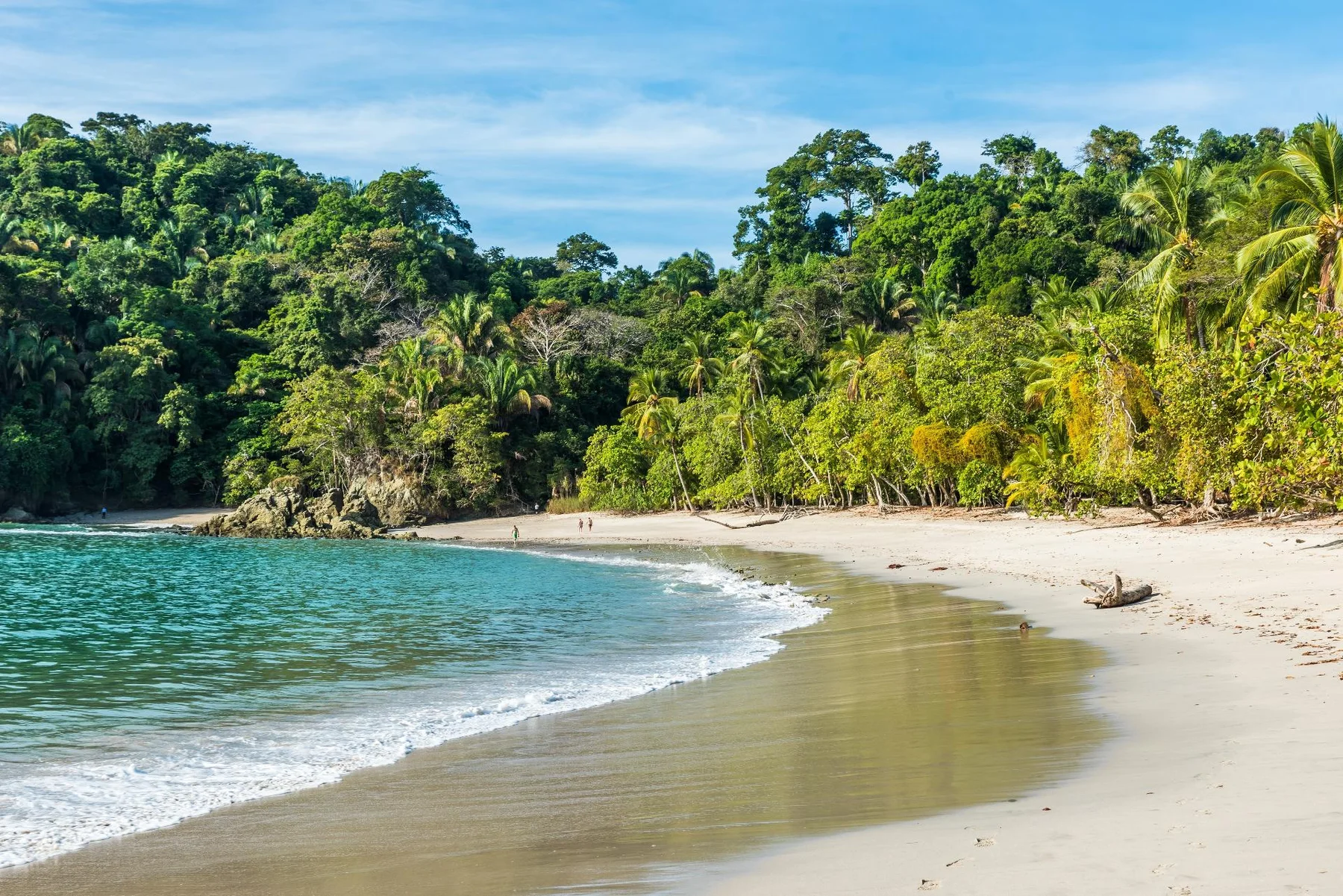 Pacific beach and rainforest landscape in Costa Rica