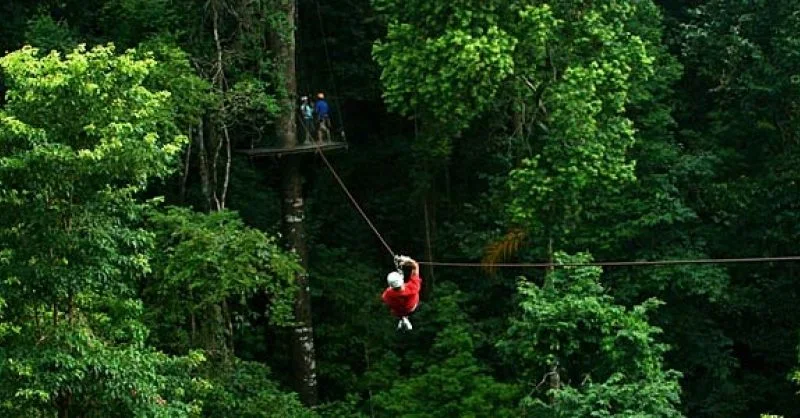 Traveler ziplining through the Costa Rica rainforest canopy