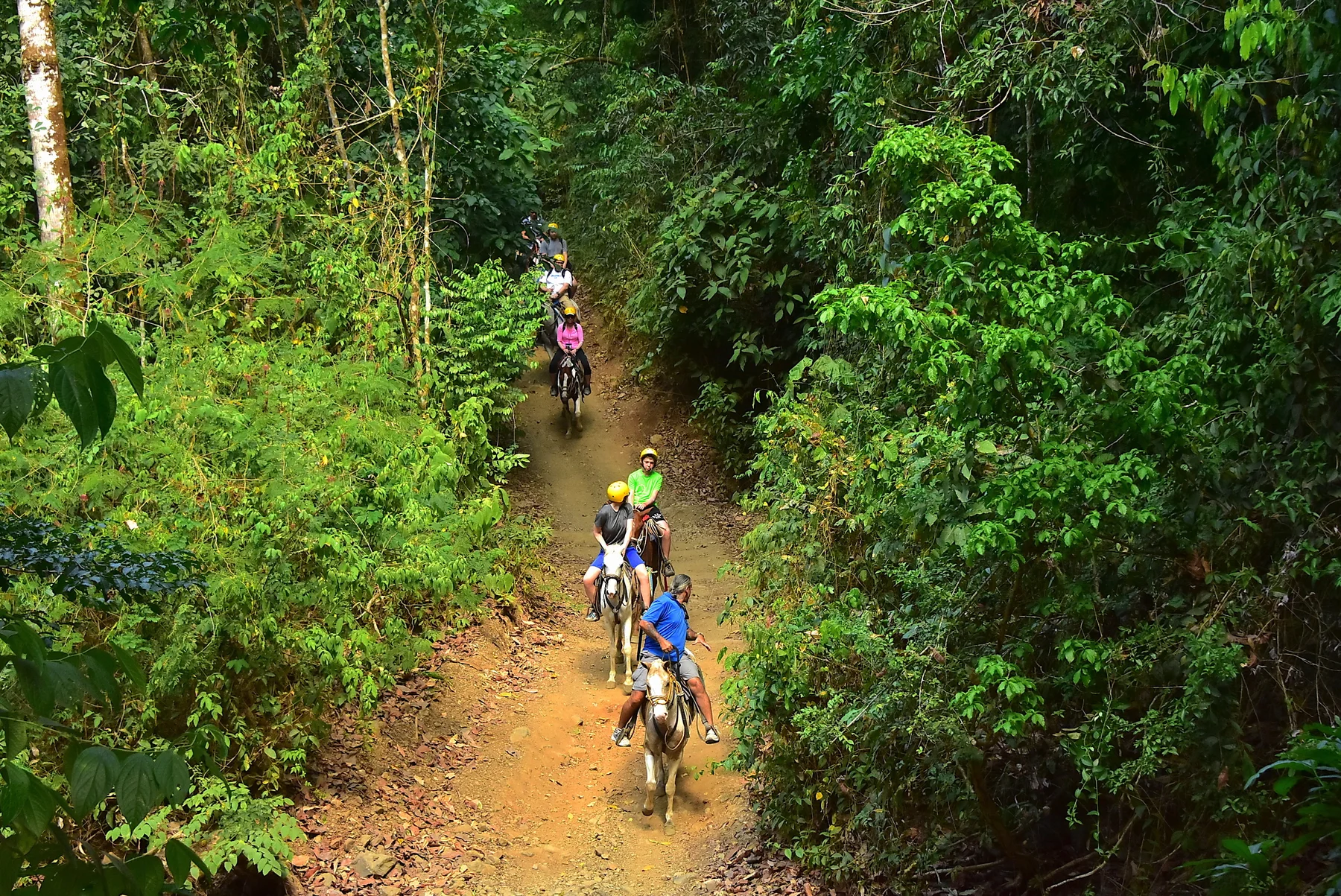 Group riding horses on a rainforest trail near Los Sueños