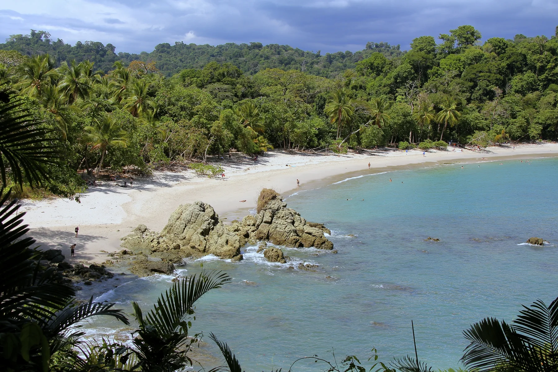 Rainforest meeting the beach at Manuel Antonio National Park